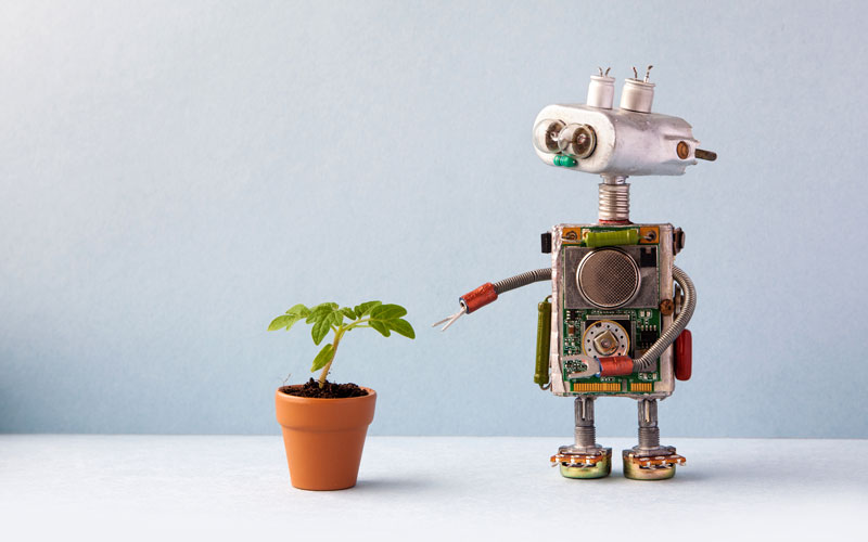 Kleiner Roboter und Pflanze.