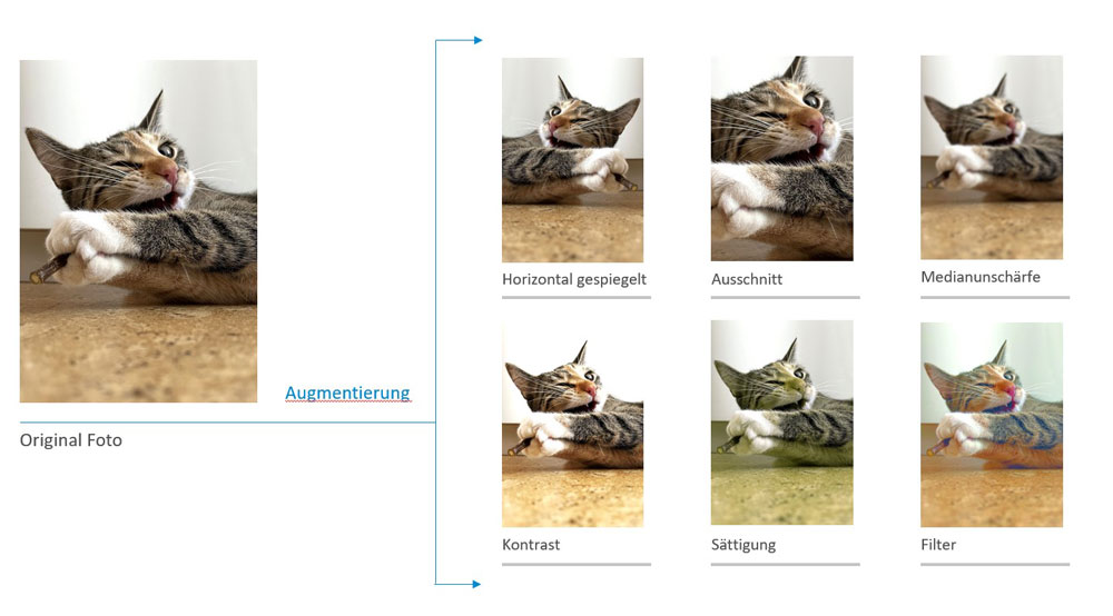 Katze in unterschiedlichen Formaten: Gespiegelt, Filter, Schärfe, Kontrast, etc.